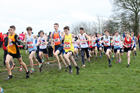 Junior boys 2019 New Balance English Schools Cross Country Champs, Temple Newsam, Leeds. Photo:  David T. Hewitson/Sports for All Pics